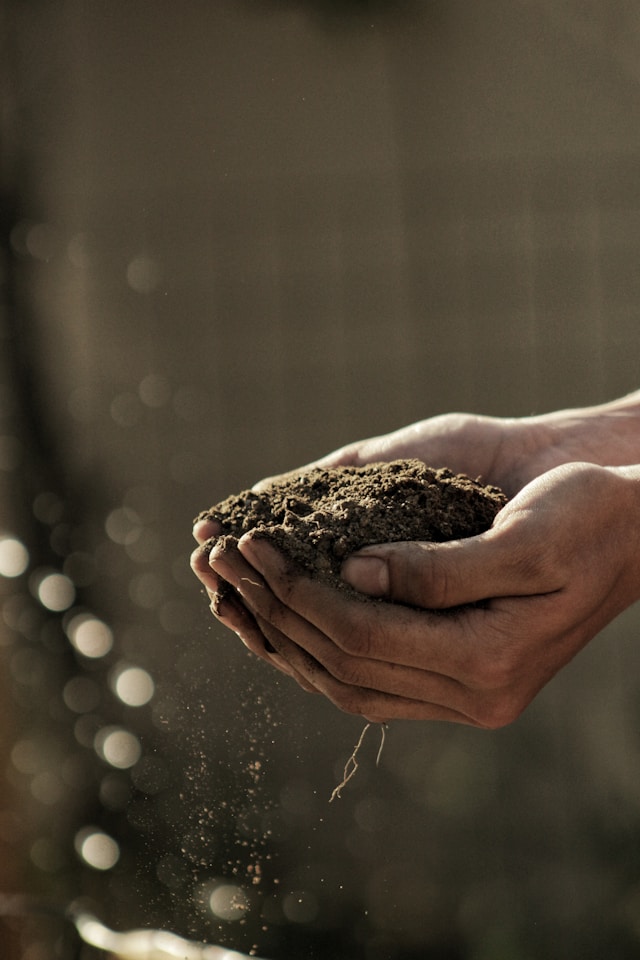 Sector Ganadero - Maquinaria agrícola especializada